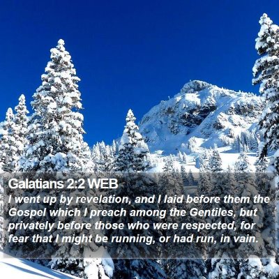 Galatians 2:2 WEB Bible Verse Image