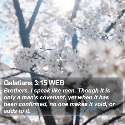 Galatians 3:15 WEB Bible Verse Image