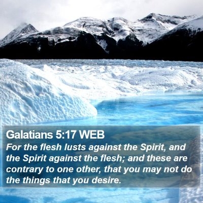 Galatians 5:17 WEB Bible Verse Image
