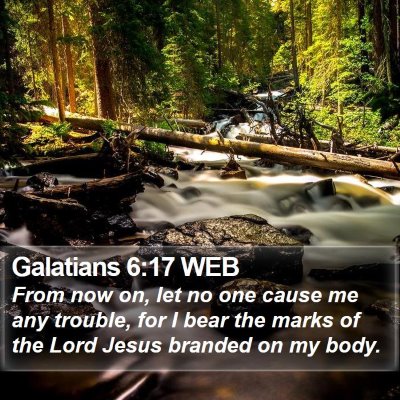 Galatians 6:17 WEB Bible Verse Image