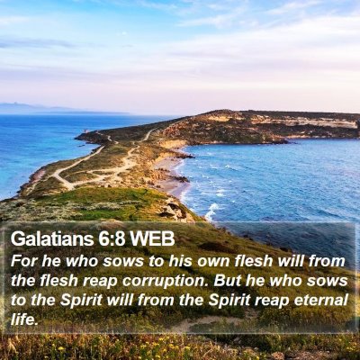 Galatians 6:8 WEB Bible Verse Image