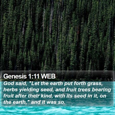 Genesis 1:11 WEB Bible Verse Image