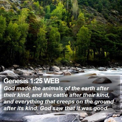 Genesis 1:25 WEB Bible Verse Image
