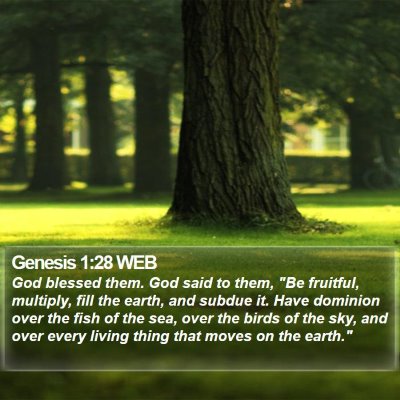 Genesis 1:28 WEB Bible Verse Image