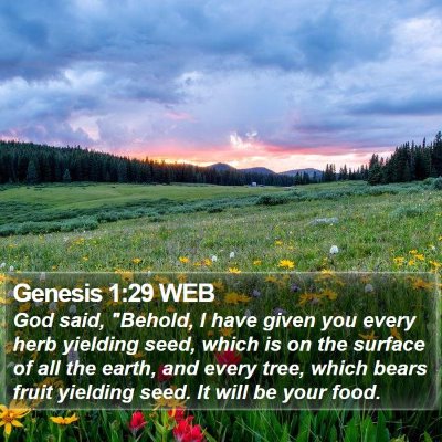 Genesis 1:29 WEB Bible Verse Image