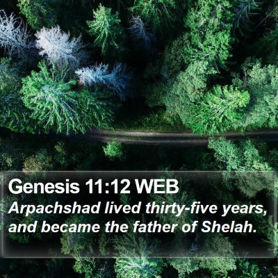 Genesis 11:12 WEB Bible Verse Image