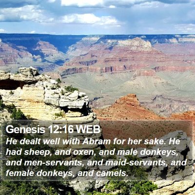 Genesis 12:16 WEB Bible Verse Image