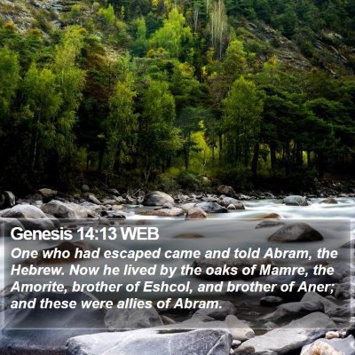 Genesis 14:13 WEB Bible Verse Image