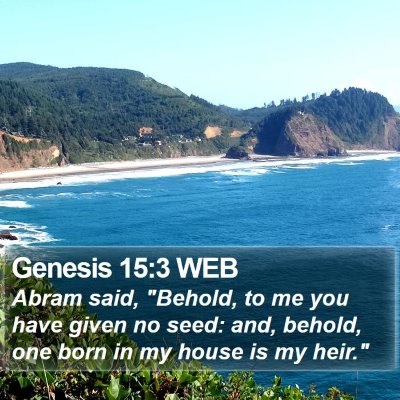 Genesis 15:3 WEB Bible Verse Image