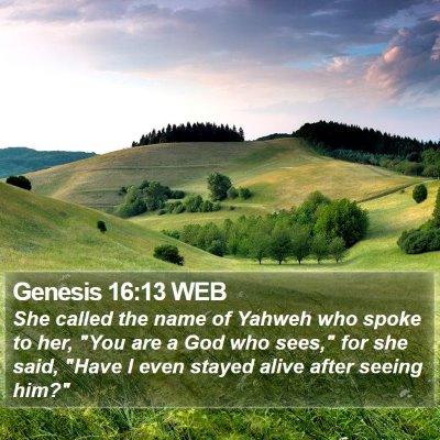 Genesis 16:13 WEB Bible Verse Image