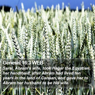 Genesis 16:3 WEB Bible Verse Image