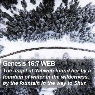 Genesis 16:7 WEB Bible Verse Image