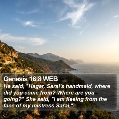 Genesis 16:8 WEB Bible Verse Image
