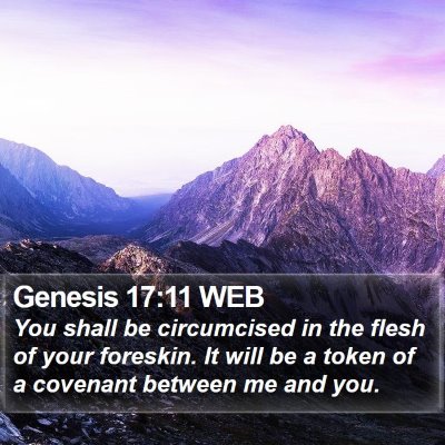 Genesis 17:11 WEB Bible Verse Image