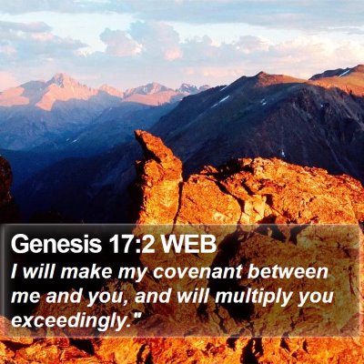Genesis 17:2 WEB Bible Verse Image