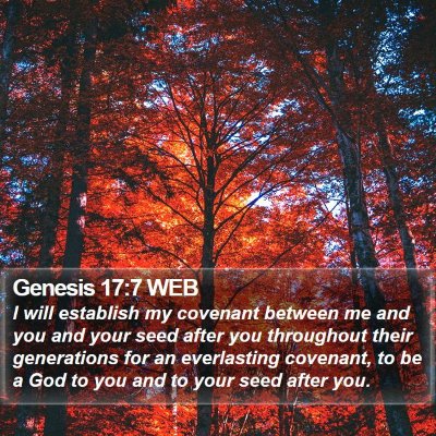 Genesis 17:7 WEB Bible Verse Image
