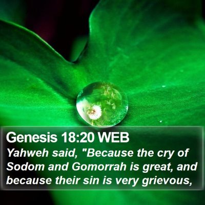 Genesis 18:20 WEB Bible Verse Image