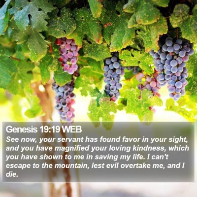 Genesis 19:19 WEB Bible Verse Image