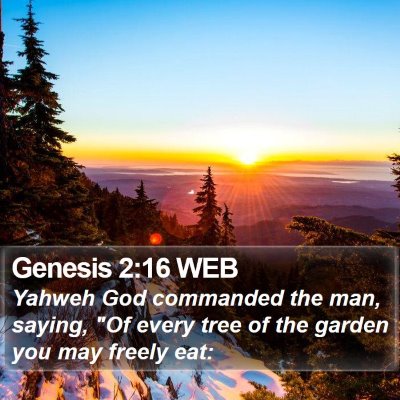 Genesis 2:16 WEB Bible Verse Image