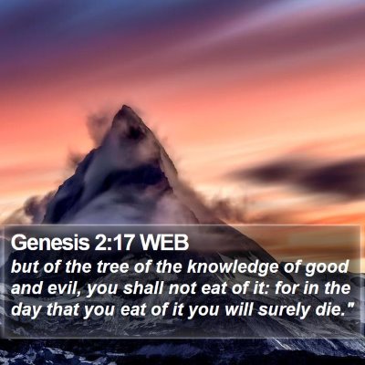 Genesis 2:17 WEB Bible Verse Image