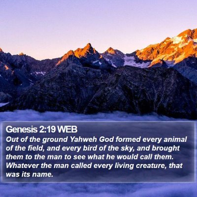Genesis 2:19 WEB Bible Verse Image