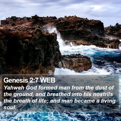 Genesis 2:7 WEB Bible Verse Image