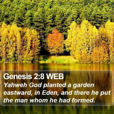Genesis 2:8 WEB Bible Verse Image