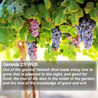 Genesis 2:9 WEB Bible Verse Image