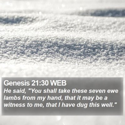 Genesis 21:30 WEB Bible Verse Image
