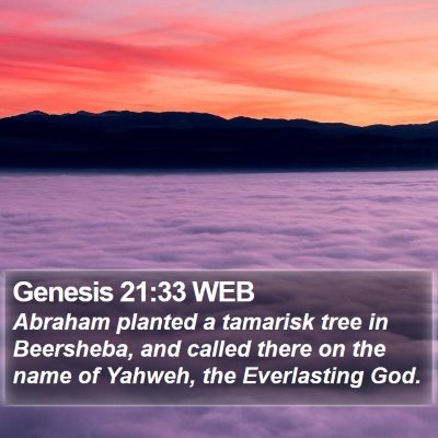 Genesis 21:33 WEB Bible Verse Image