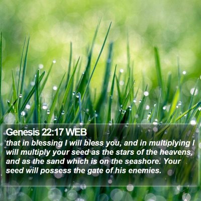 Genesis 22:17 WEB Bible Verse Image