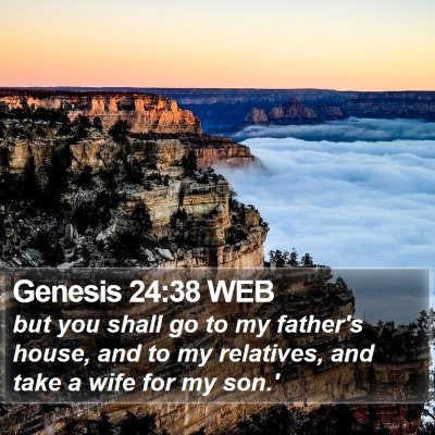Genesis 24:38 WEB Bible Verse Image