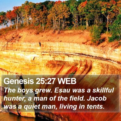 Genesis 25:27 WEB Bible Verse Image