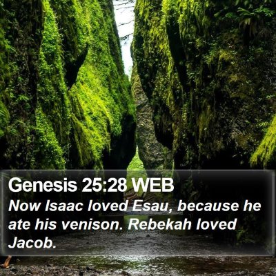Genesis 25:28 WEB Bible Verse Image