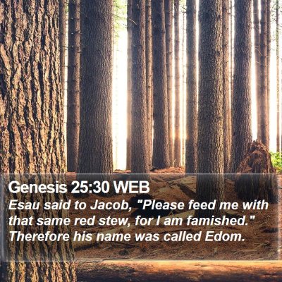 Genesis 25:30 WEB Bible Verse Image