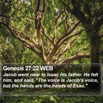 Genesis 27:22 WEB Bible Verse Image