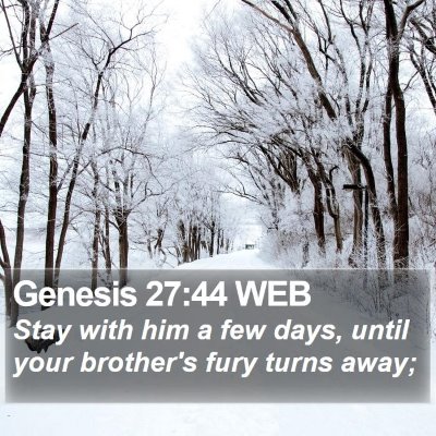 Genesis 27:44 WEB Bible Verse Image