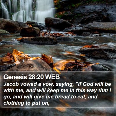 Genesis 28:20 WEB Bible Verse Image