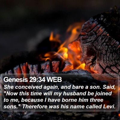 Genesis 29:34 WEB Bible Verse Image