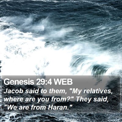 Genesis 29:4 WEB Bible Verse Image