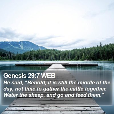 Genesis 29:7 WEB Bible Verse Image