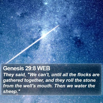 Genesis 29:8 WEB Bible Verse Image