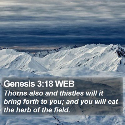 Genesis 3:18 WEB Bible Verse Image