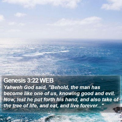 Genesis 3:22 WEB Bible Verse Image
