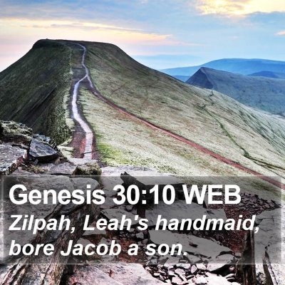 Genesis 30:10 WEB Bible Verse Image