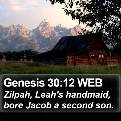 Genesis 30:12 WEB Bible Verse Image