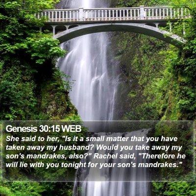 Genesis 30:15 WEB Bible Verse Image