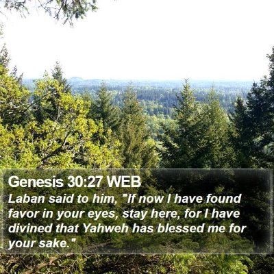 Genesis 30:27 WEB Bible Verse Image