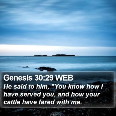 Genesis 30:29 WEB Bible Verse Image
