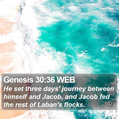 Genesis 30:36 WEB Bible Verse Image